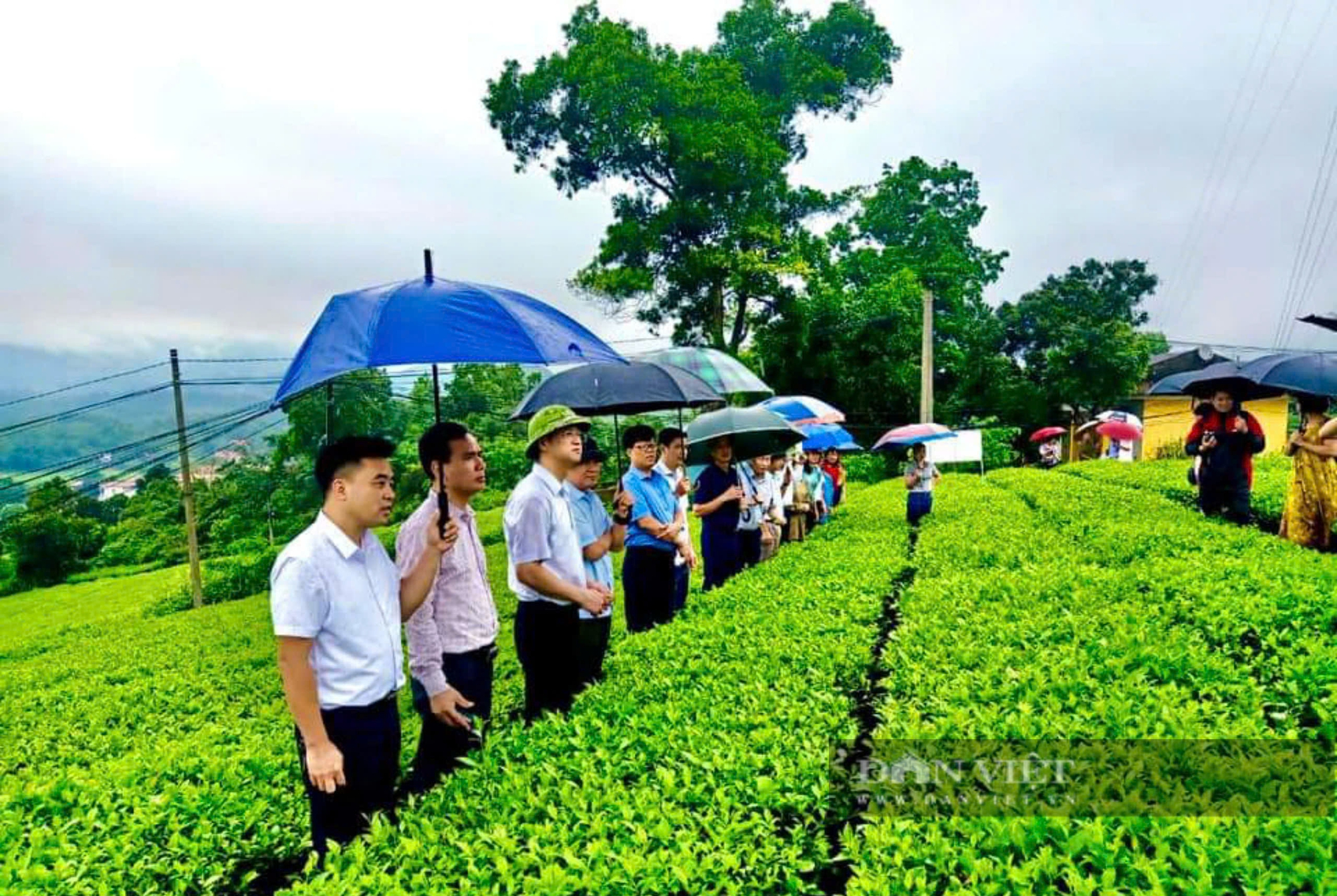 Nông dân góp đất, góp công, đồng lòng cùng chính quyền xây dựng nông thôn mới - Ảnh 13.