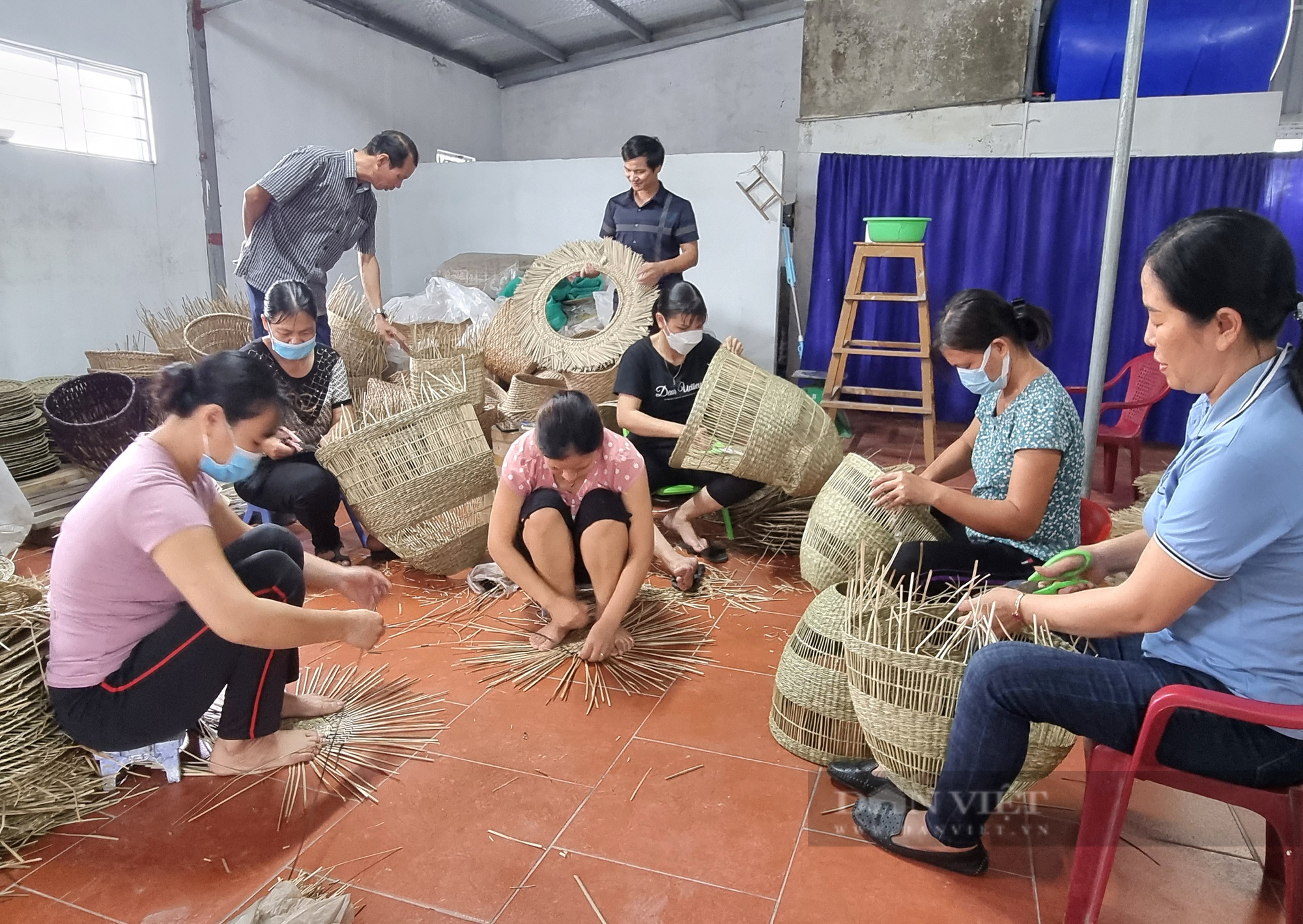 Ninh Bình: Điểm sáng trong phong trào nông dân thi đua sản xuất, kinh doanh giỏi - Ảnh 5.