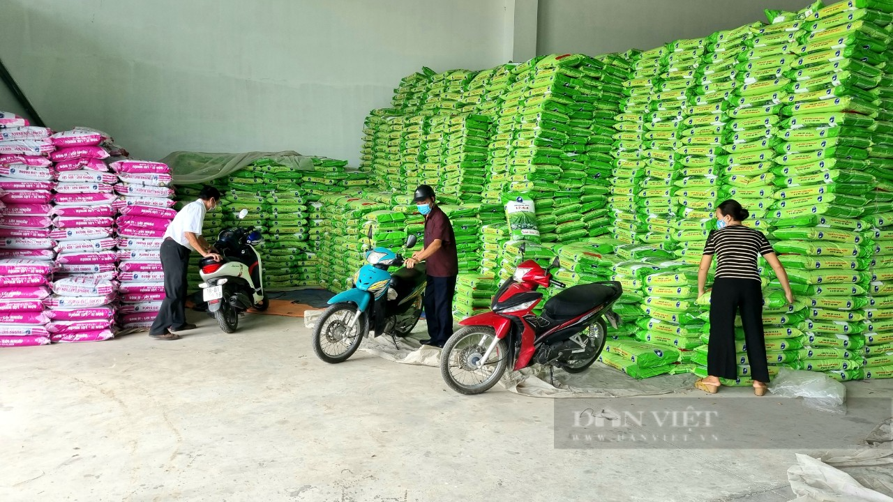 Ninh Bình: Điểm sáng trong phong trào nông dân thi đua sản xuất, kinh doanh giỏi - Ảnh 6.