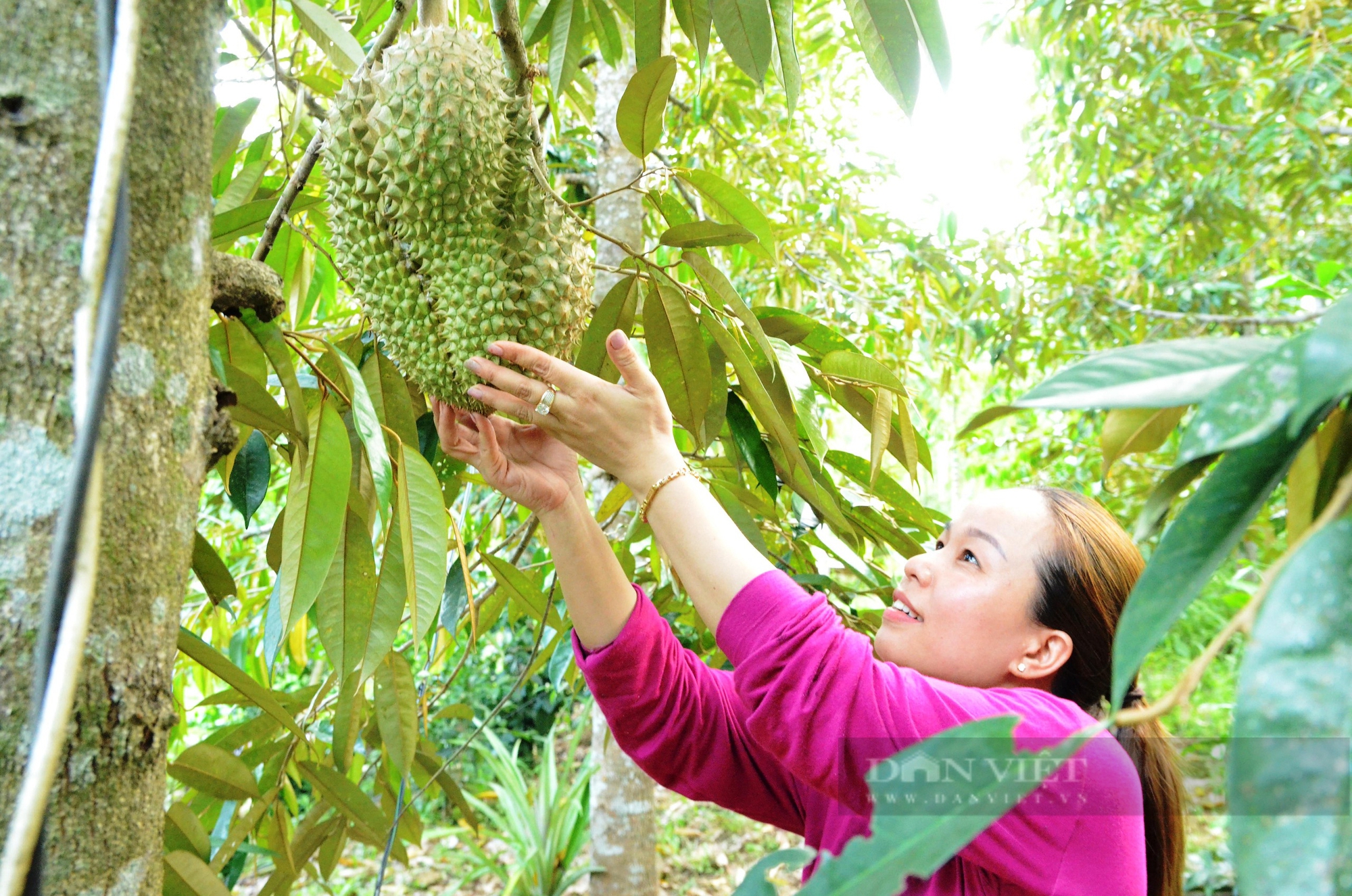 Tiên Cảnh ở Quảng Nam, nơi mà nguyên Chủ tịch nước Trương Tấn Sang về tặng cây cầu đã đạt chuẩn NTM nâng cao - Ảnh 3.