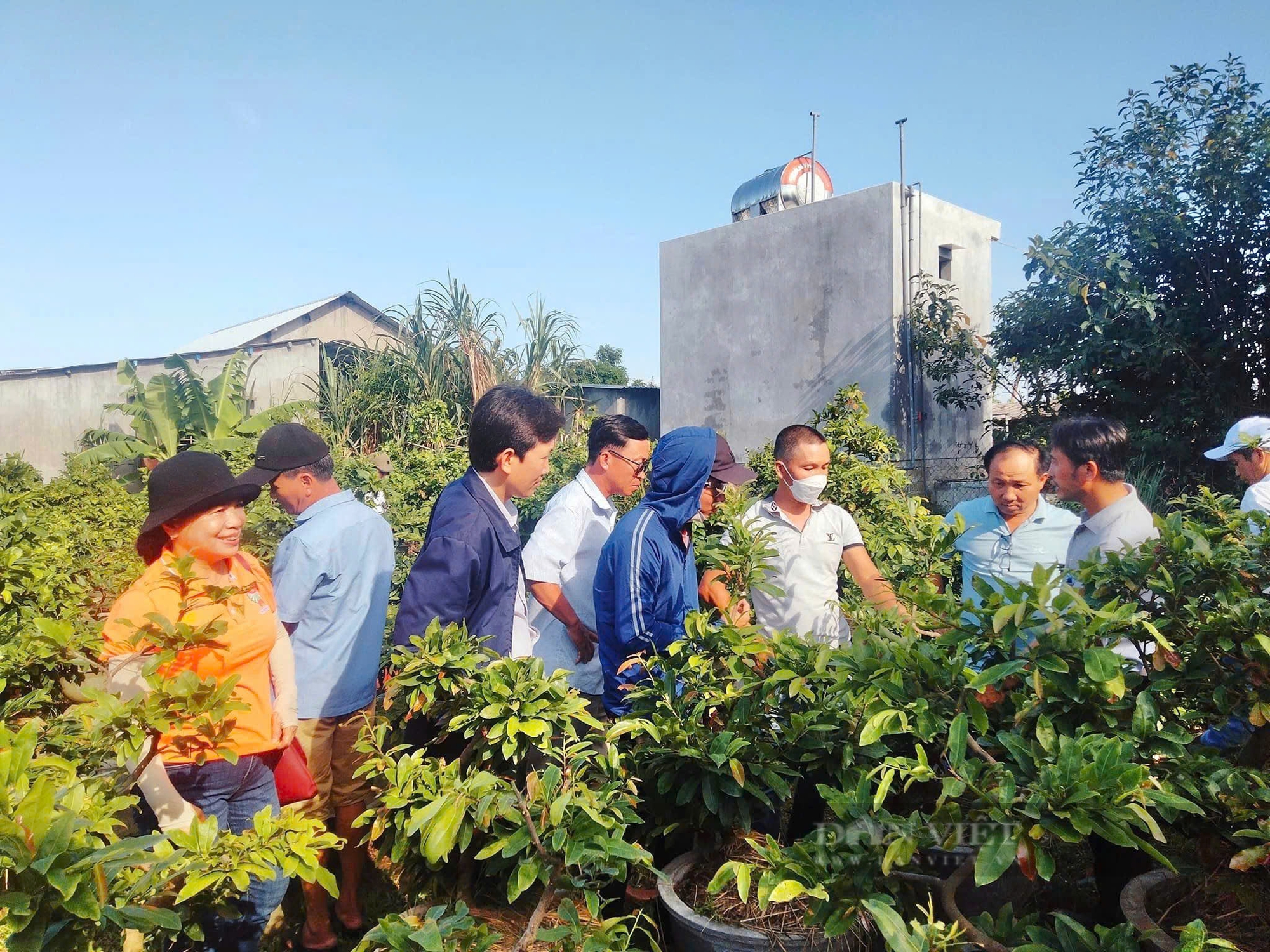 Quảng Nam: Công tác Hội và phong trào nông dân Điện Bàn đạt nhiều kết quả ấn tượng - Ảnh 2.