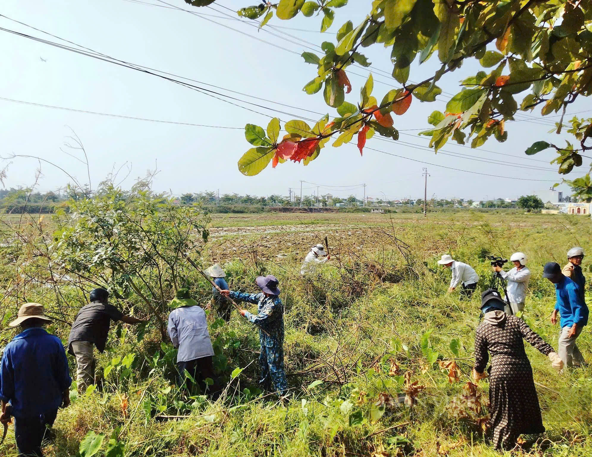 Quảng Nam: Công tác Hội và phong trào nông dân Điện Bàn đạt nhiều kết quả ấn tượng - Ảnh 6.