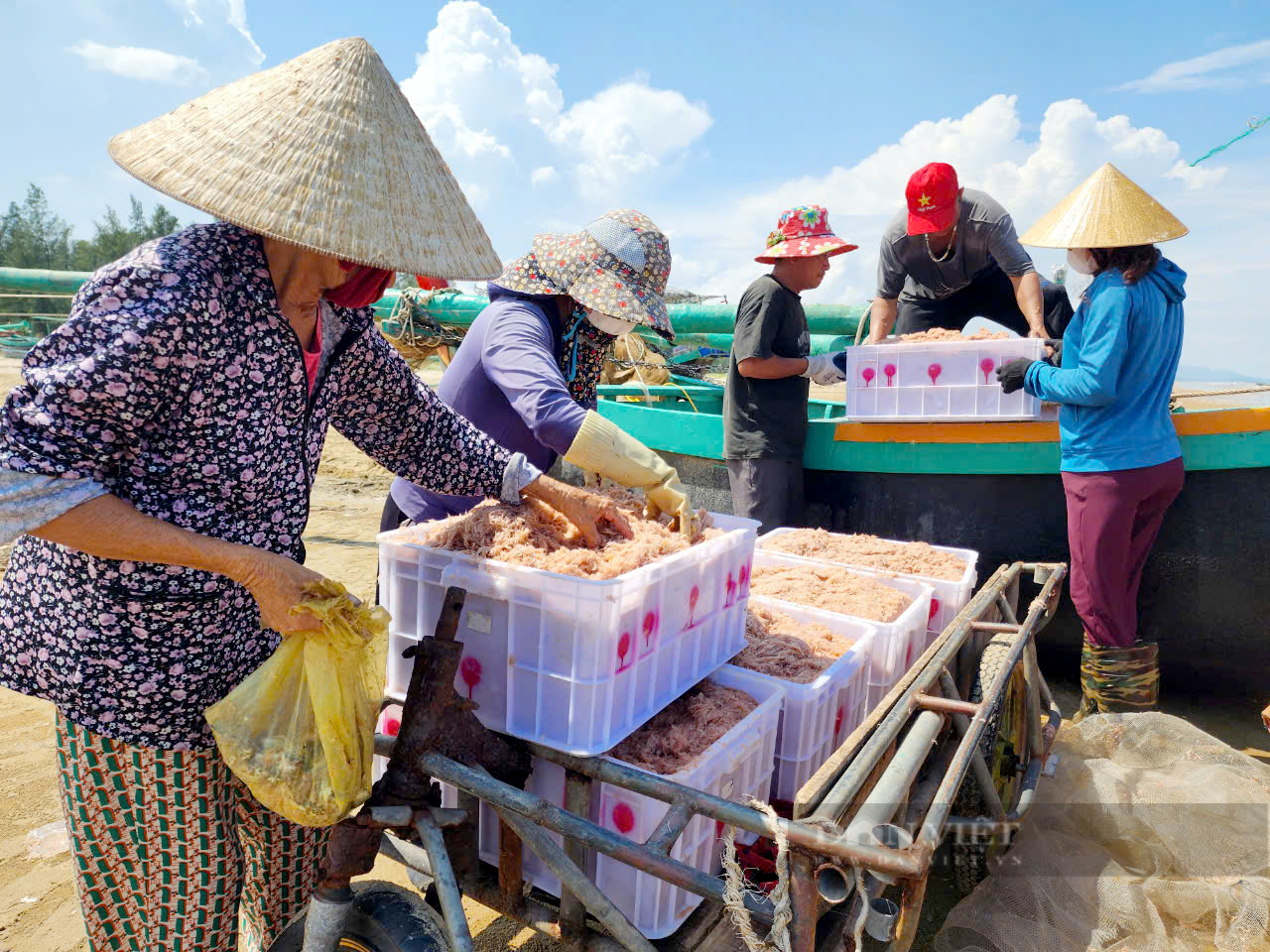 Ngư dân Hà Tĩnh trúng đậm mùa ruốc biển, bỏ túi tiền triệu sau mỗi chuyến ra khơi- Ảnh 3.