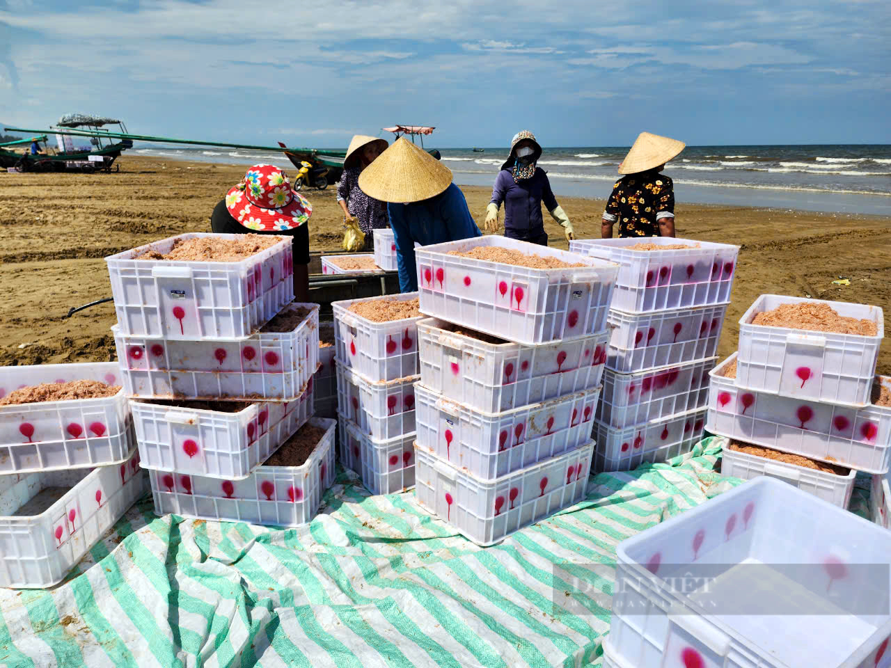 Ngư dân Hà Tĩnh trúng đậm mùa ruốc biển, bỏ túi tiền triệu sau mỗi chuyến ra khơi- Ảnh 8.