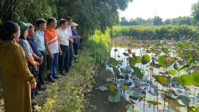 Nhiều chi, tổ hội nông dân nghề nghiệp ở Thừa Thiên Huế đạt doanh thu tiền tỷ mỗi năm  - Ảnh 4.