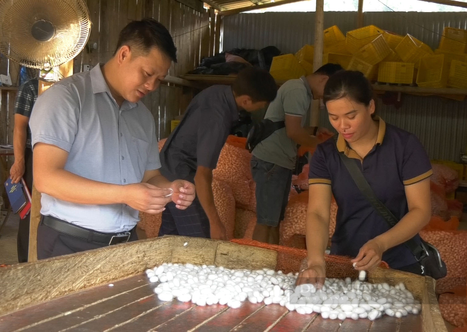 Nông dân Việt Nam xuất sắc đến từ tỉnh Cao Bằng: Từ trồng ngô, lúa trở thành "vua tằm" nơi biên viễn - Ảnh 4.