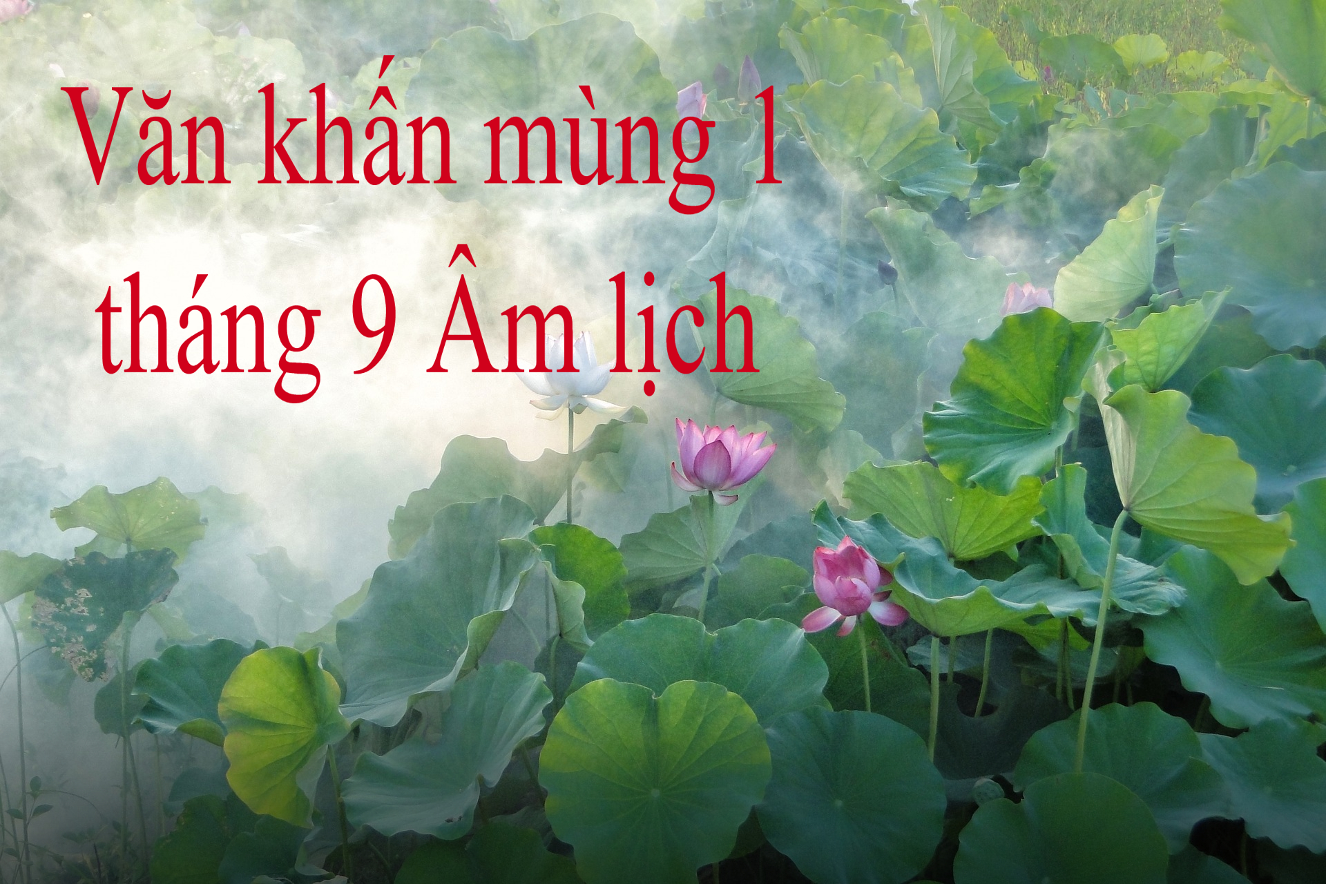 Văn khấn mùng 1 tháng 9 Âm lịch chuẩn xác nhất, cầu cho gia đình bình an, may mắn, tài lộc như ý   - Ảnh 1.