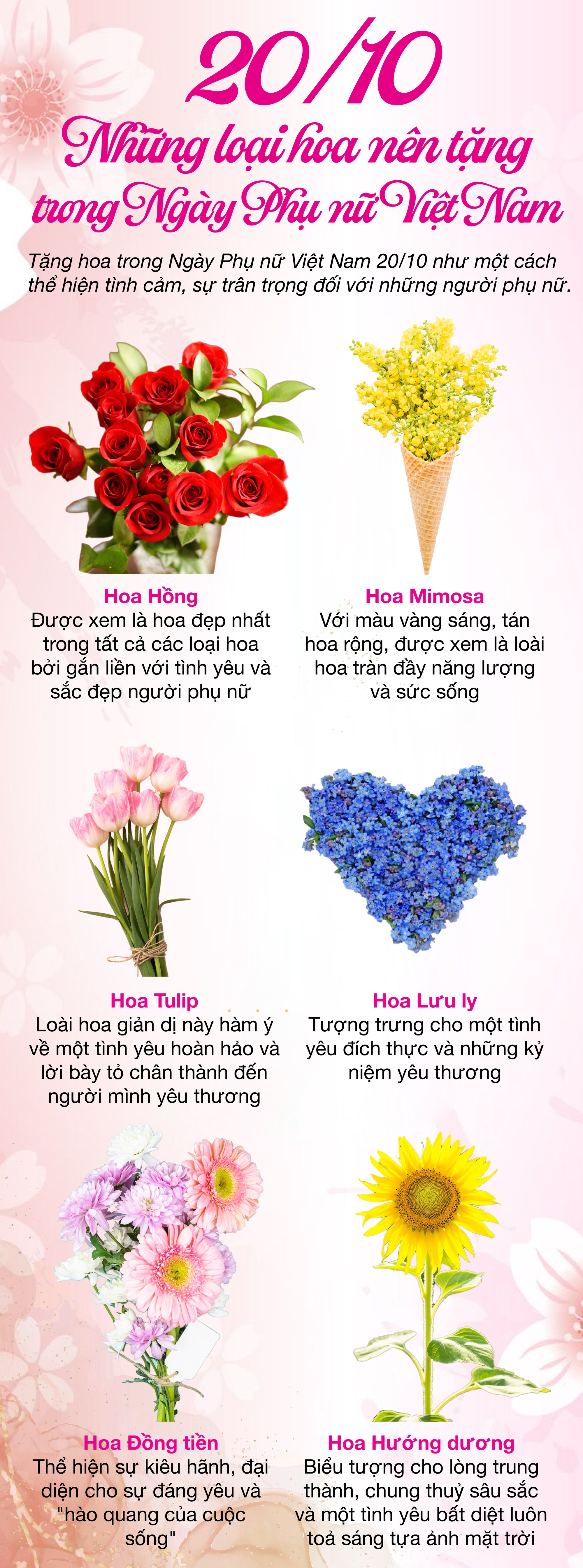 6 loại hoa nên tặng trong ngày Phụ nữ Việt Nam 20/10- Ảnh 1.