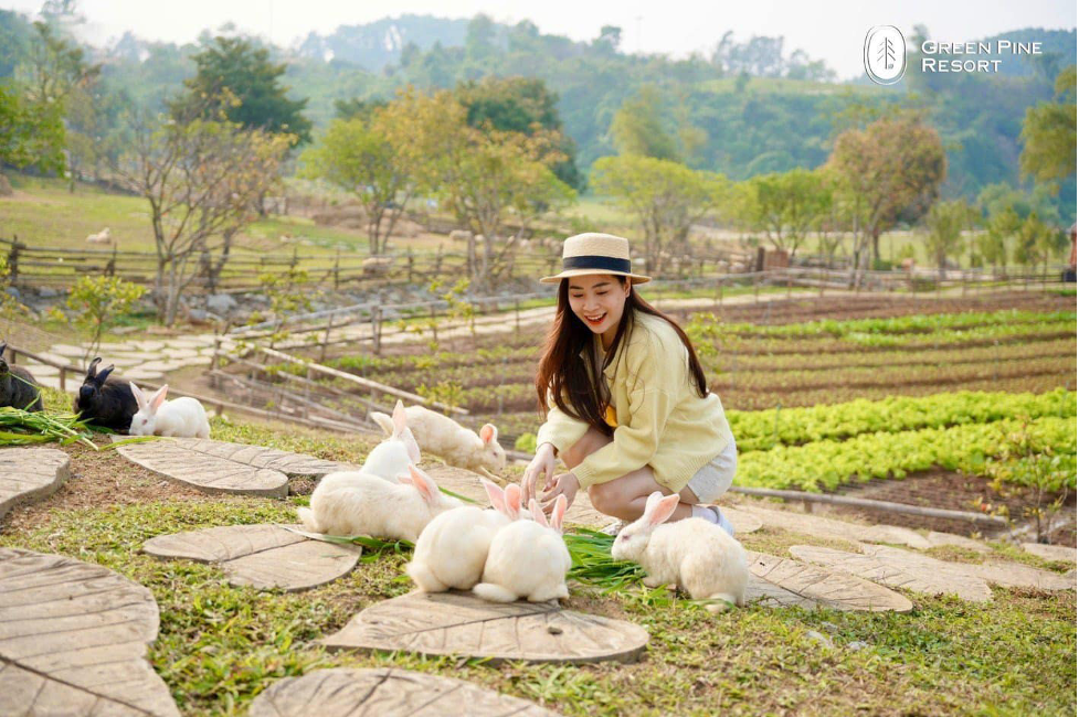 Tận hưởng thiên đường giải trí bất tận và nghỉ dưỡng tuyệt vời tại Đồi thông Hồ Đồng Chương