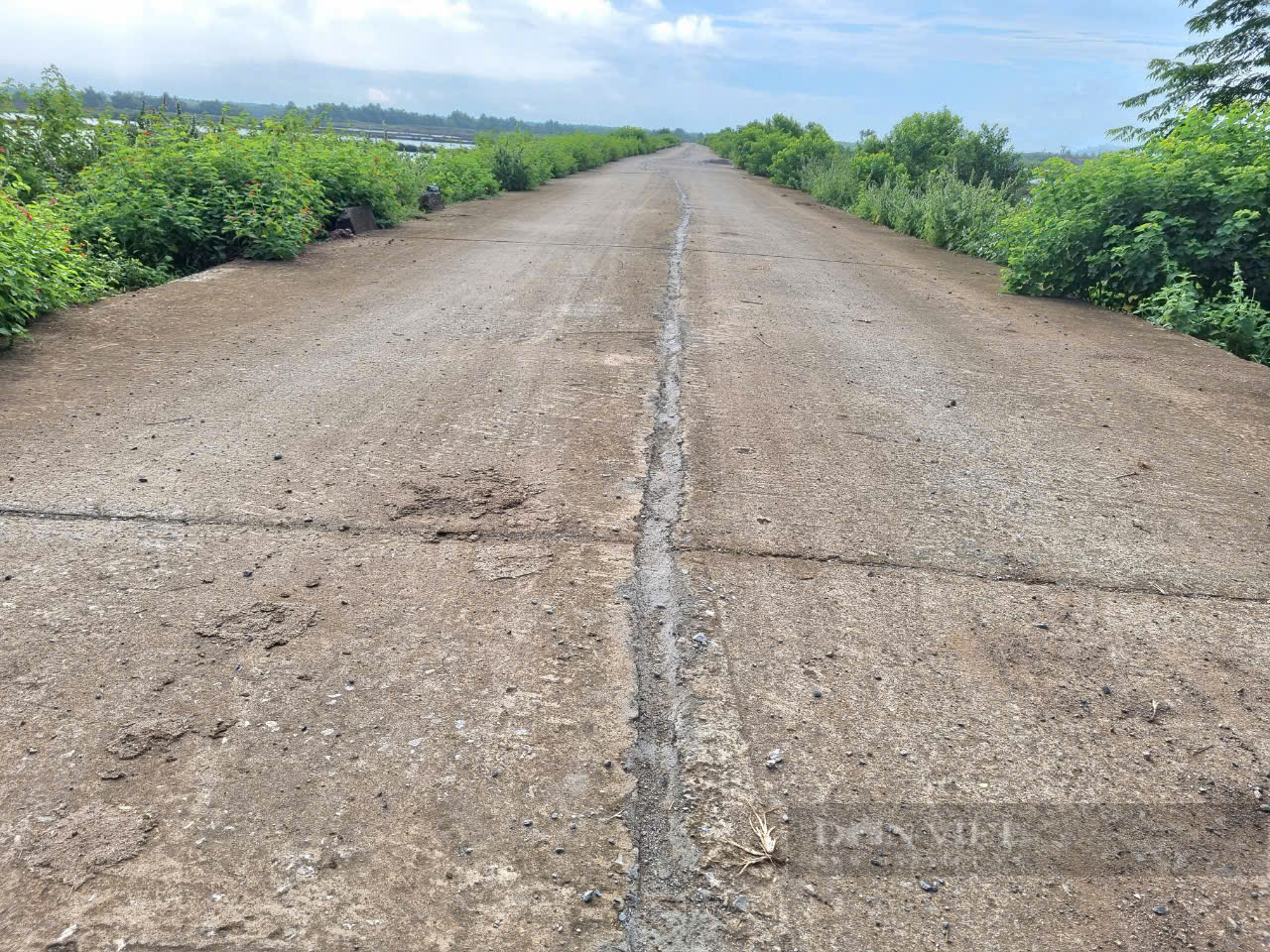 Thanh Hóa: Xử lý các vết nứt vỡ trên mặt đê sông, đê biển sau thông tin Dân Việt - Ảnh 1.