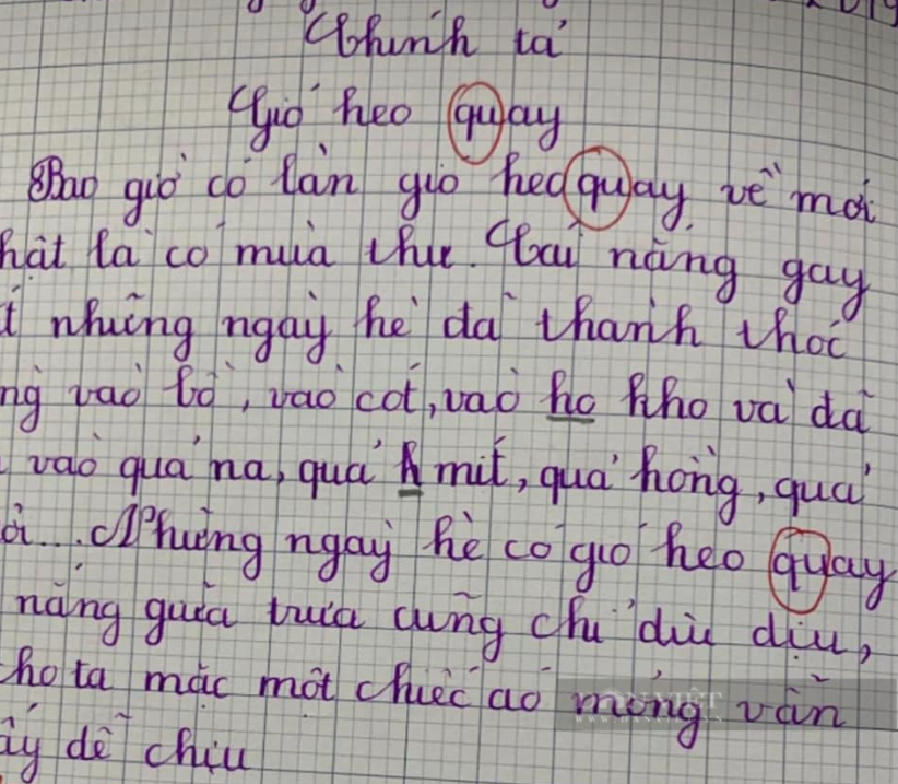 Cô giáo đọc chép chính tả môn Tiếng Việt, học sinh lớp 3 "tam sao thất bản" khiến ai cũng ôm bụng cười - Ảnh 3.