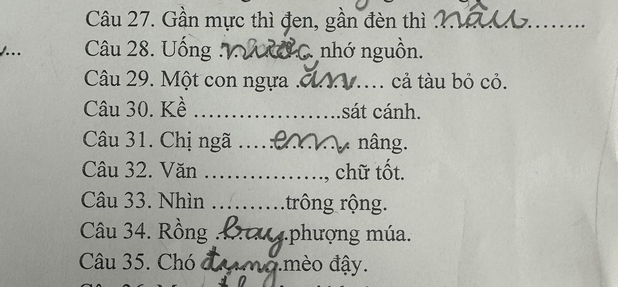 Cô giáo đọc chép chính tả môn Tiếng Việt, học sinh lớp 3 "tam sao thất bản" khiến ai cũng ôm bụng cười - Ảnh 5.