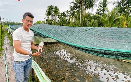 Một ông Giám đốc ở Hà Tĩnh được vinh danh tại sự kiện "Ngôi sao Hợp tác xã" năm 2024 - Ảnh 5.