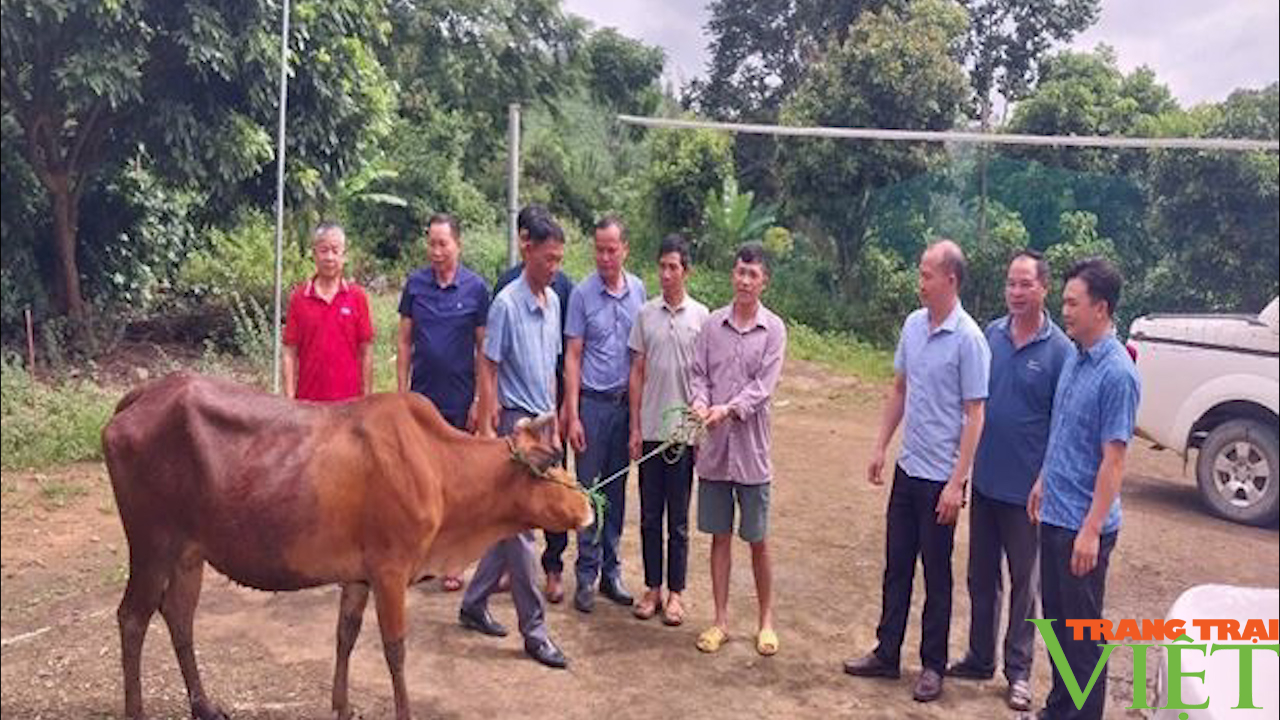 Hỗ trợ hội viên nông dân nghèo các xã vùng III phát triển kinh tế - Ảnh 1.