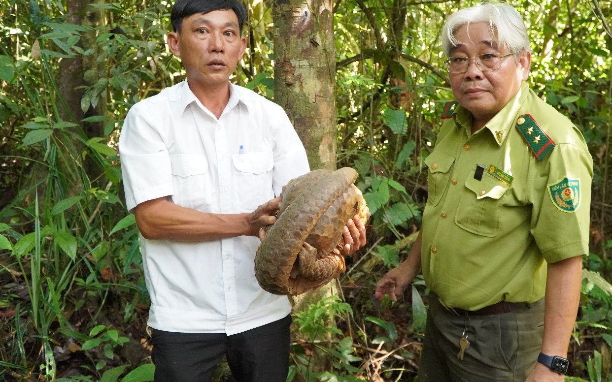 TT-Huế: Nhiều nông dân ở Phong Điền có doanh thu tiền tỷ, tạo việc làm cho số lượng lớn lao động - Ảnh 2.