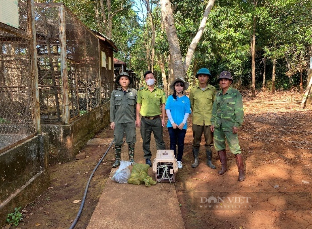 Bình Phước thả nhiều động vật hoang dã quý hiếm về Vườn quốc gia Bù Gia Mập - Ảnh 3.