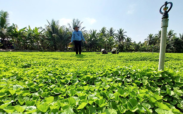 Một công chúa nước Lào giúp vua Lê Thánh Tông huấn luyện voi đánh giặc, dân đền thờ ở Ninh Bình - Ảnh 5.