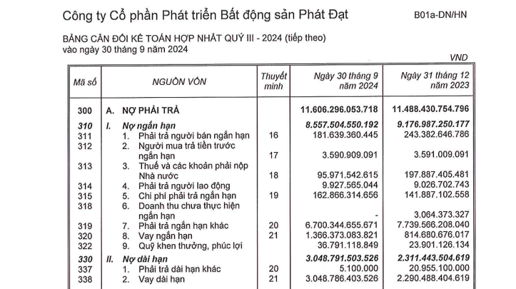 Phát Đạt sắp phát hành 34,1 triệu cổ phiếu để hoán đổi nợ, "chật vật" vì nợ thuế - Ảnh 1.