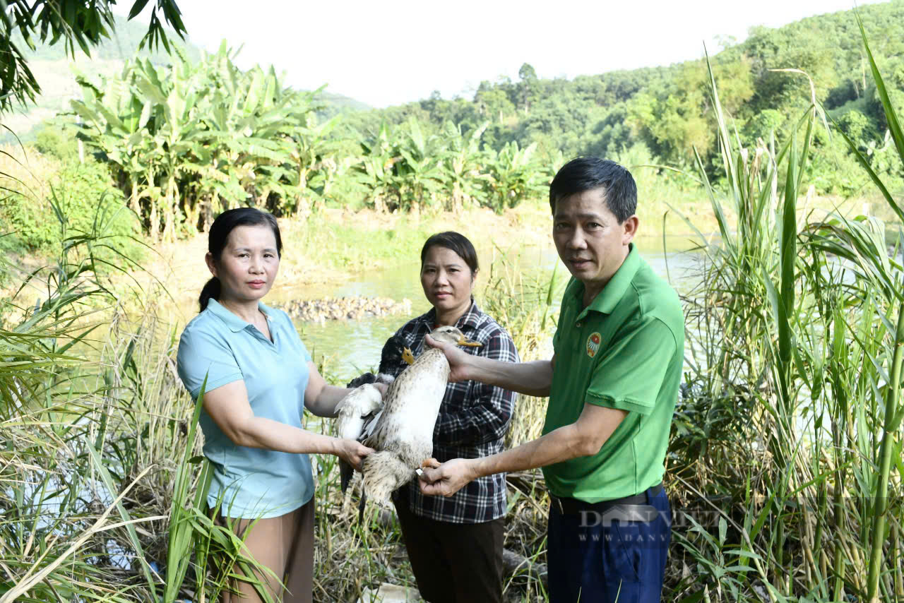 Sau Diễn đàn Lắng nghe nông dân nói: - Ảnh 4.