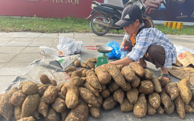 Nuôi chim cút bé như nắm tay tối ngày chỉ ăn với đẻ, làm trứng cút lộn, nông dân Lâm Đồng trúng lớn - Ảnh 1.