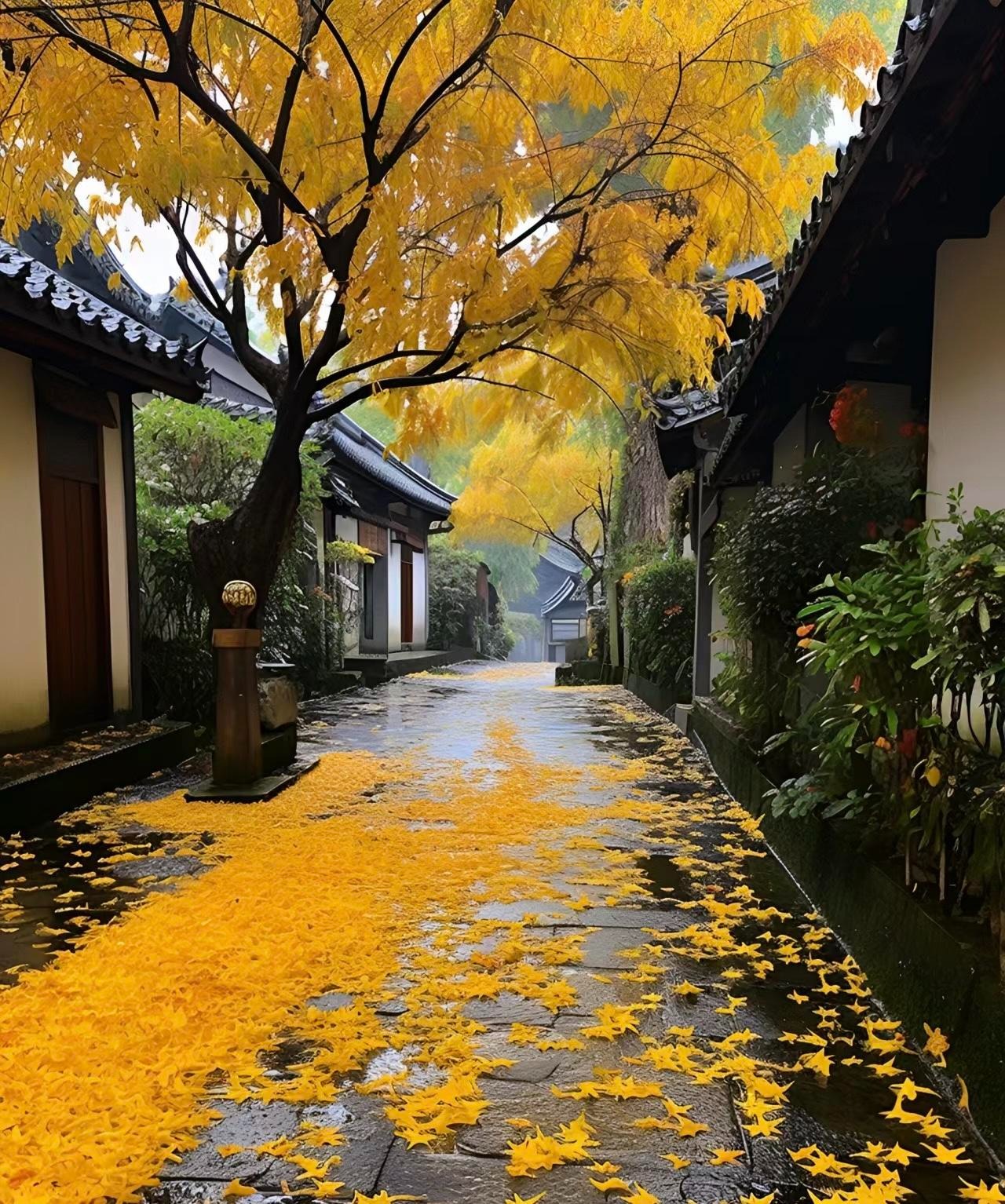 Người có tháng sinh Âm lịch này, trung thực, nhân hậu, vượng vận quý nhân, may mắn tràn đầy- Ảnh 5.