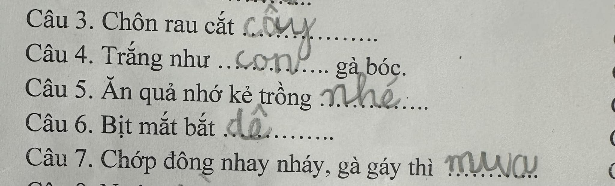 “Cười đau bụng” bài tập Tiếng Việt của học sinh tiểu học: "Của ít lòng đào", "Con người là đầu cơ nghiệp”- Ảnh 9.