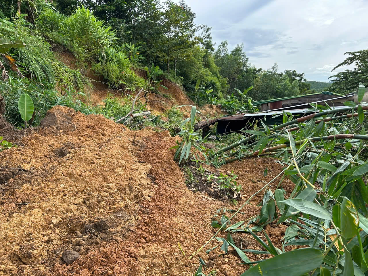 Mưa lớn do ảnh hưởng bão Trami, Đắk Lắk khẩn cấp di dời người dân vùng sạt lở - Ảnh 2.