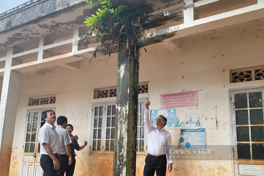 “Mắc kẹt’ quy hoạch bauxite: Bình Phước khó đảm bảo hoàn thành xây dựng nông thôn mới- Ảnh 4.