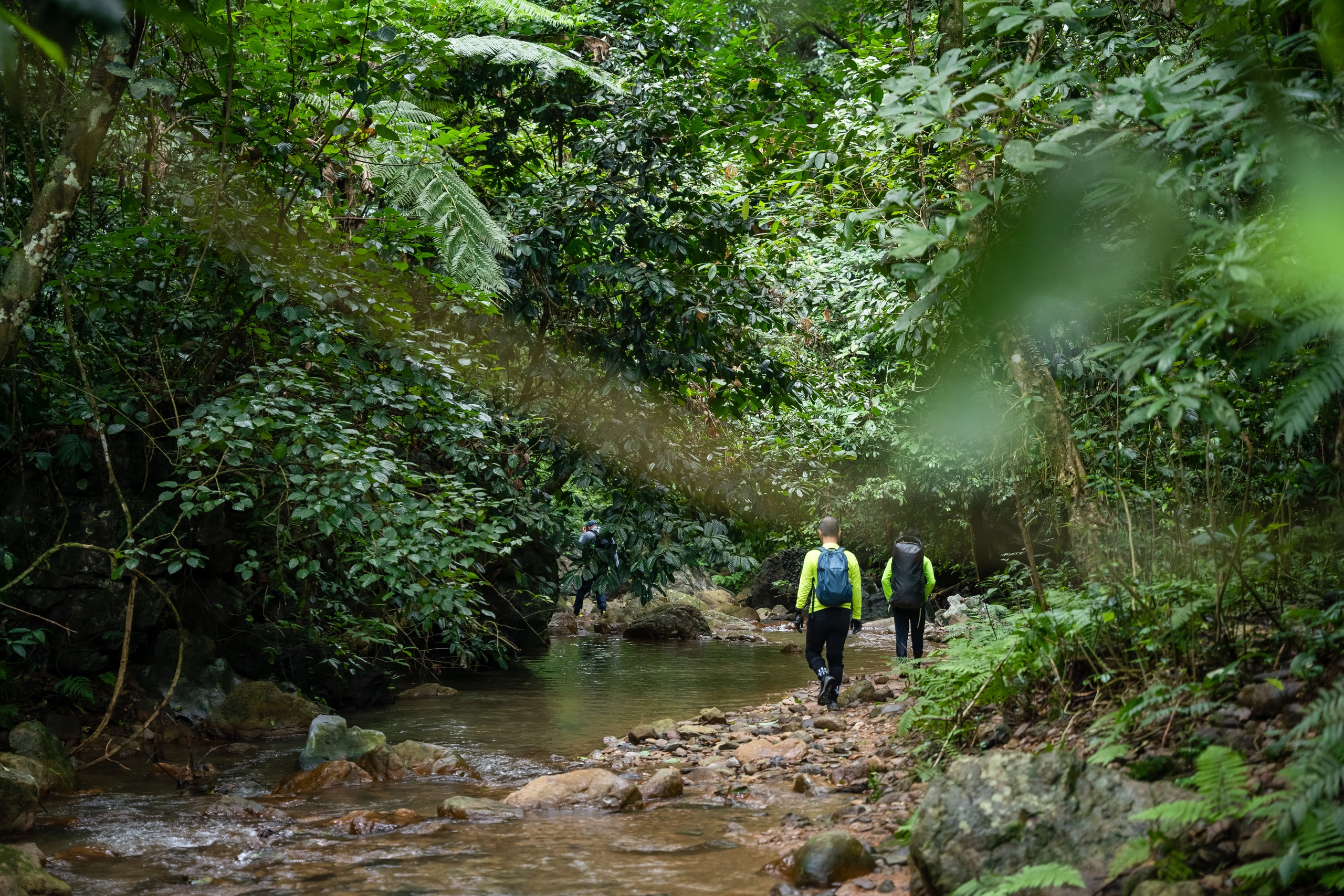 Trekking Hang Én - hang có niên đại 3 triệu năm tuổi ở Quảng Bình - Ảnh 1.