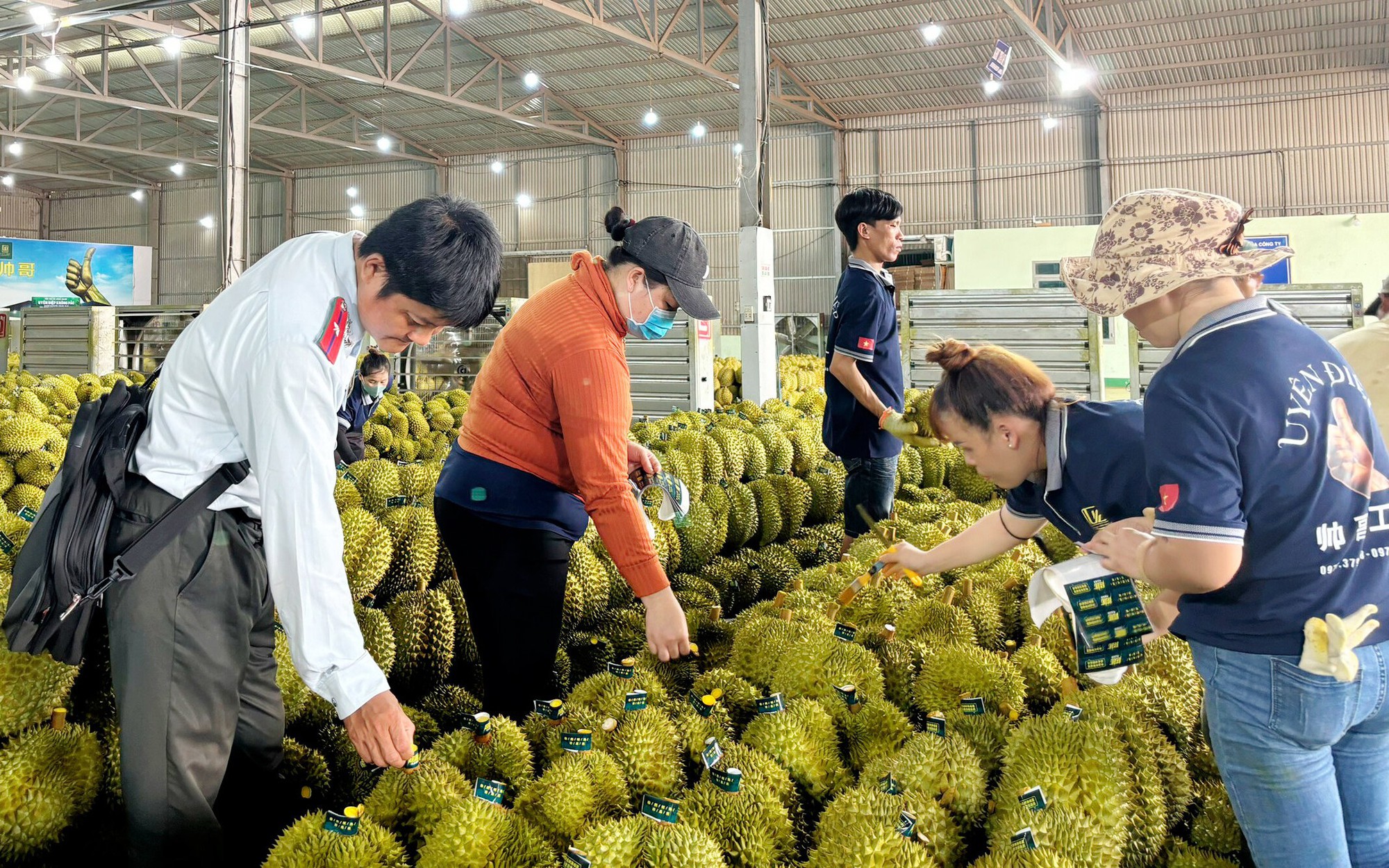 Duyên hải Nam Trung Bộ có năng suất lúa cao hơn 2 vùng lân cận - Ảnh 4.