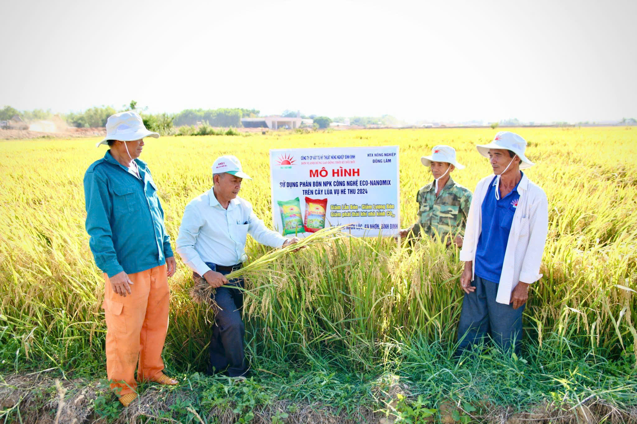 Duyên hải Nam Trung Bộ có năng suất lúa cao hơn 2 vùng lân cận - Ảnh 2.