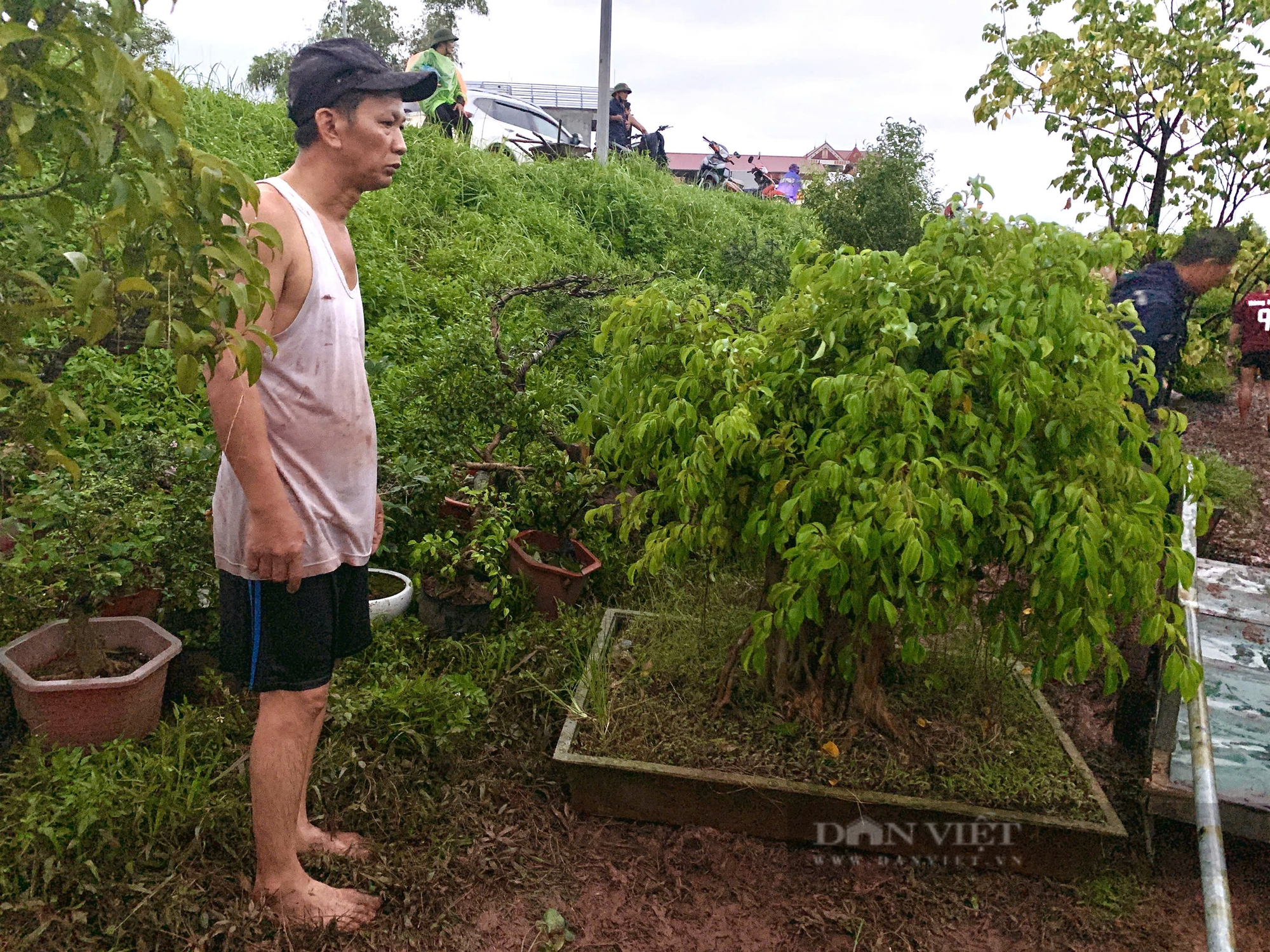 Động lực hoàn thiện bảo hiểm nông nghiệp: Phải có "điểm tựa" từ Nhà nước (Bài cuối) - Ảnh 2.