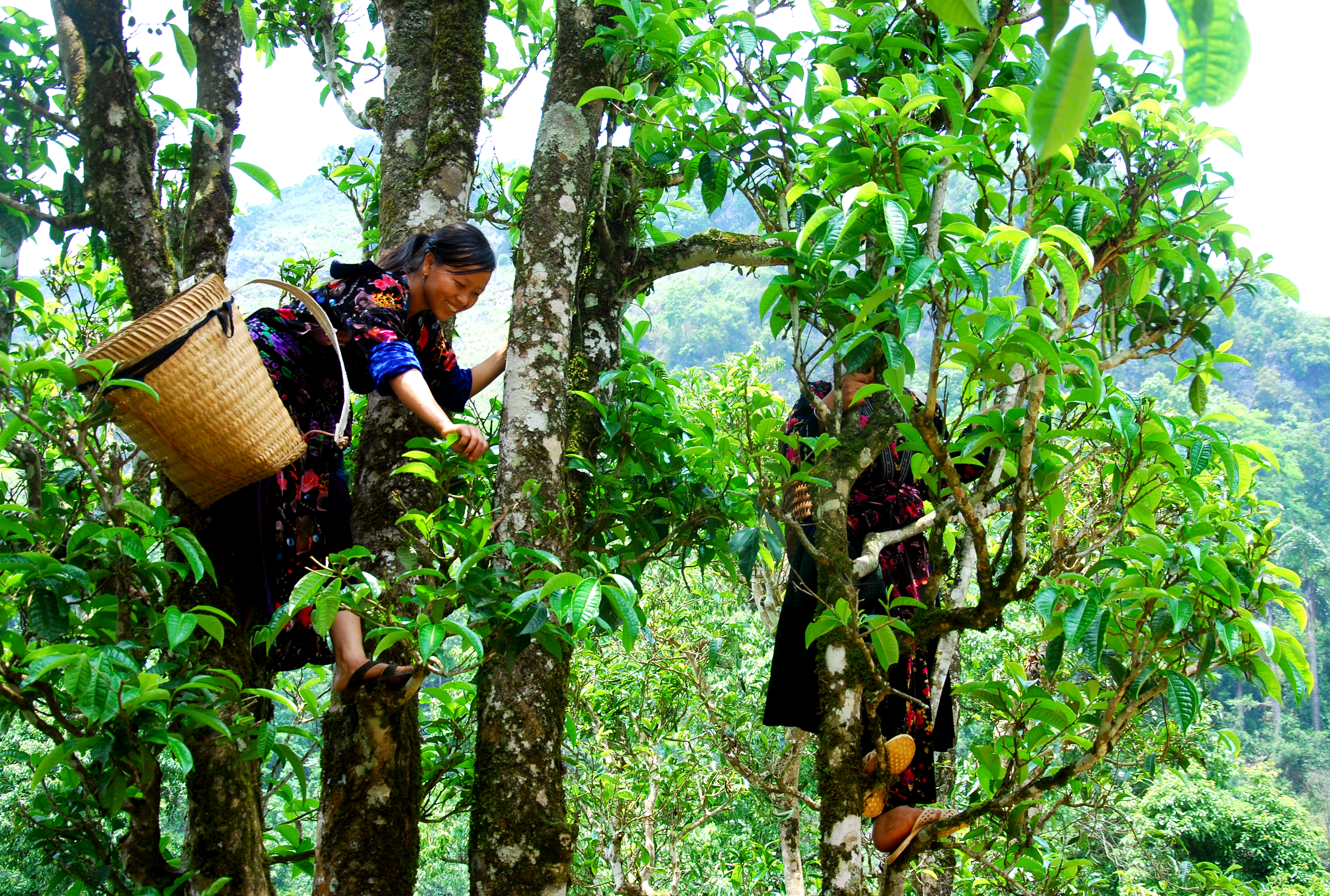  Thanh niên trẻ Nguyễn Mỹ Linh nhận giải thưởng Lương Định Của lần thứ XIX là ai? - Ảnh 2.