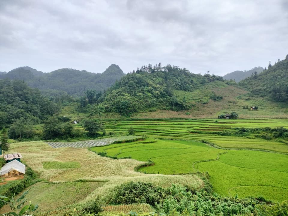 Bắc Hà: Khó khăn trong xây dựng nông thôn mới ở Lùng Phình - Ảnh 3.