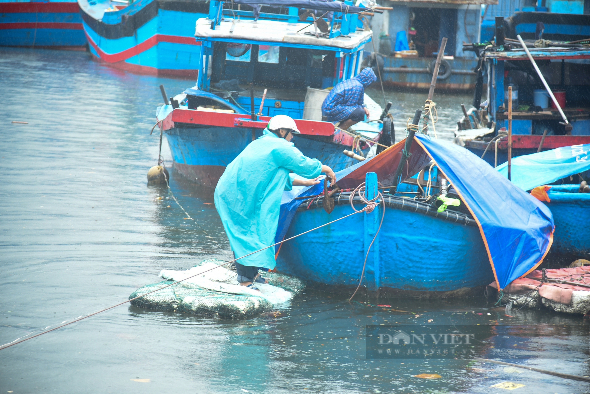 Đà Nẵng tập trung chủ động ứng phó bão Trà Mi- Ảnh 2.