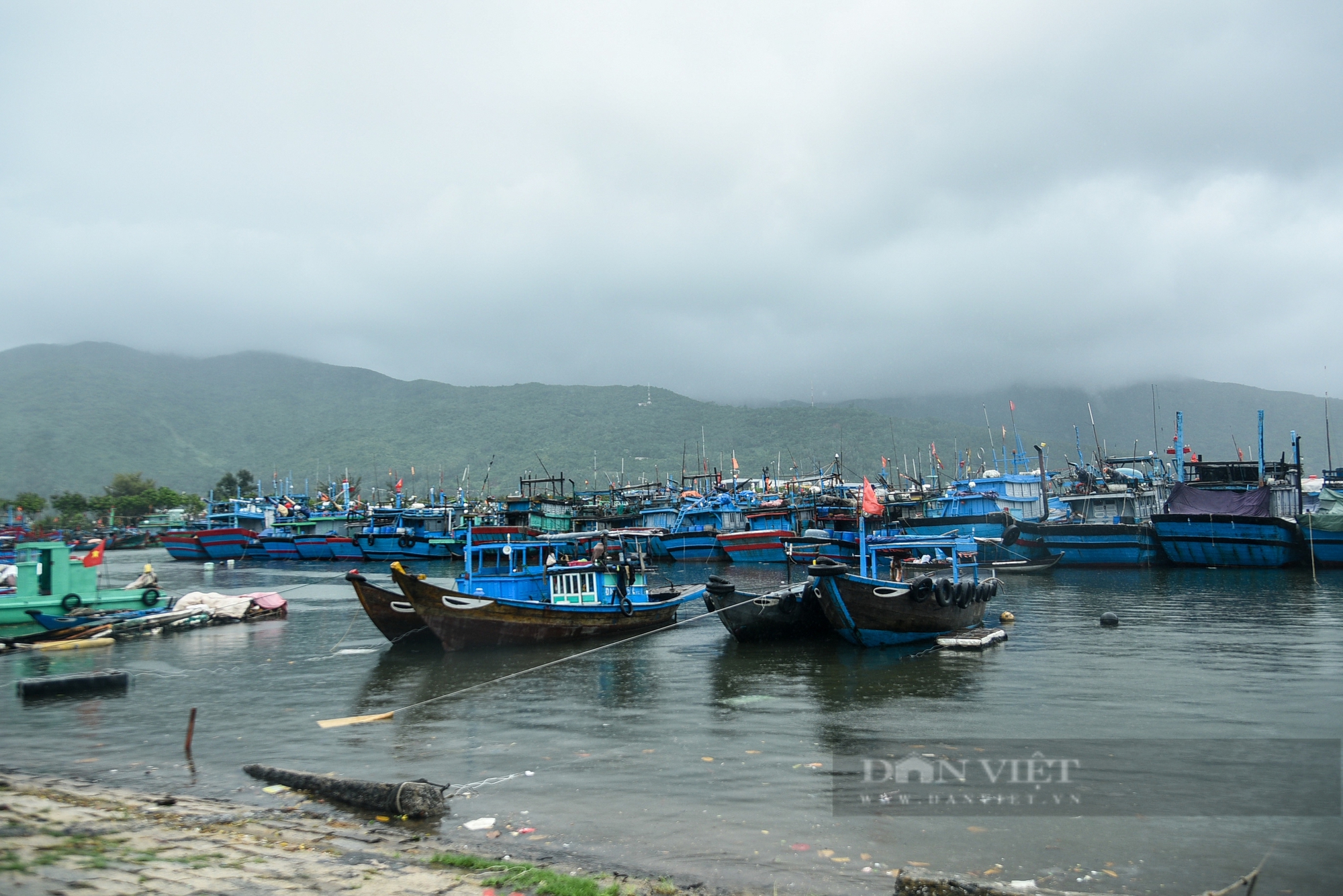 Đà Nẵng tập trung chủ động ứng phó bão Trà Mi- Ảnh 1.