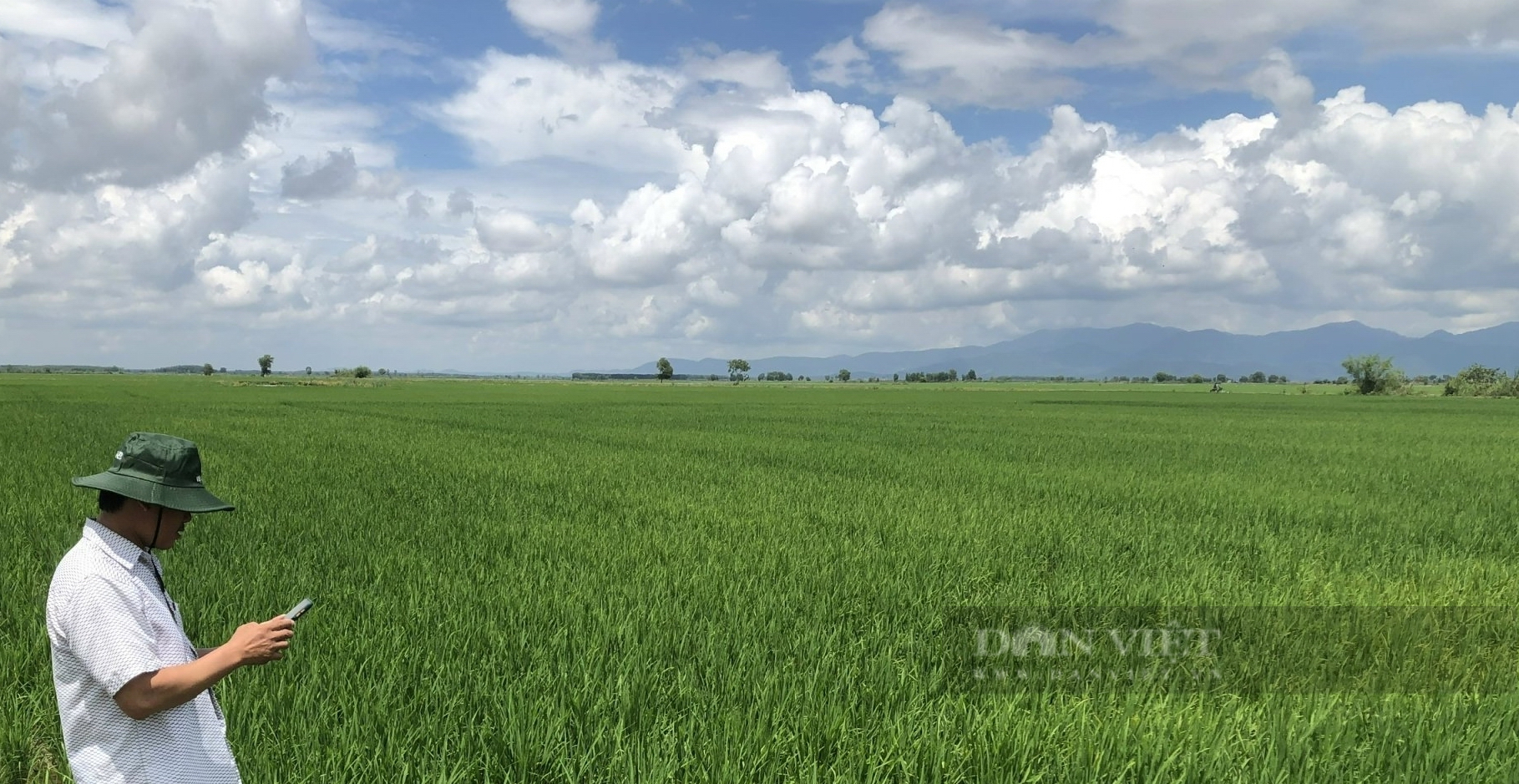 Bình Thuận: Quỹ hỗ trợ Trung ương Hội Nông dân giải ngân cho dự án"sản xuất lúa hữu cơ" - Ảnh 2.