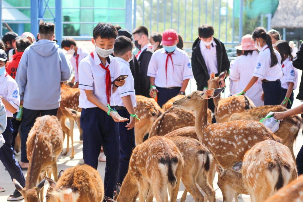 Du lịch đất Long An, qua nhà cổ trăm cột, cảng quốc tế, vườn nuôi động vật hoang dã- Ảnh 4.