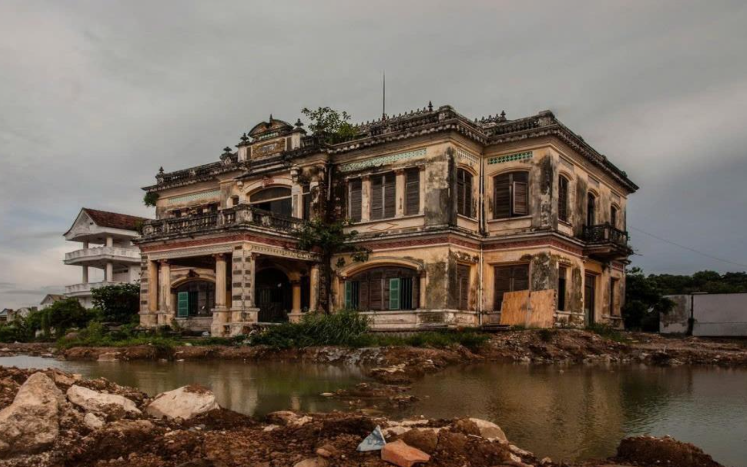 Ngỗng sư tử vốn là động vật hoang dã, chim hoang dã, ăn cỏ vô địch hơn trâu bò, có ngỗng Hà Nội - Ảnh 5.