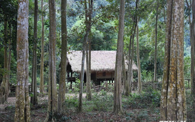 Du lịch đất Long An, qua nhà cổ trăm cột, cảng quốc tế, vườn nuôi động vật hoang dã - Ảnh 8.