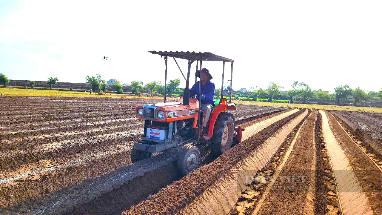 Ứng dụng công nghệ mới trong sản xuất khoai tây giúp nông dân các tỉnh phía Bắc nâng cao thu nhập- Ảnh 9.