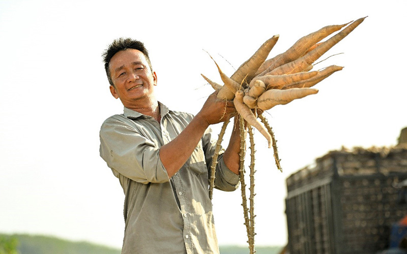 Nông dân Tây Ninh dùng năng lượng mặt trời kết hợp tưới nhỏ giọt cho khoai mì, giảm phát thải CO2 - Ảnh 2.