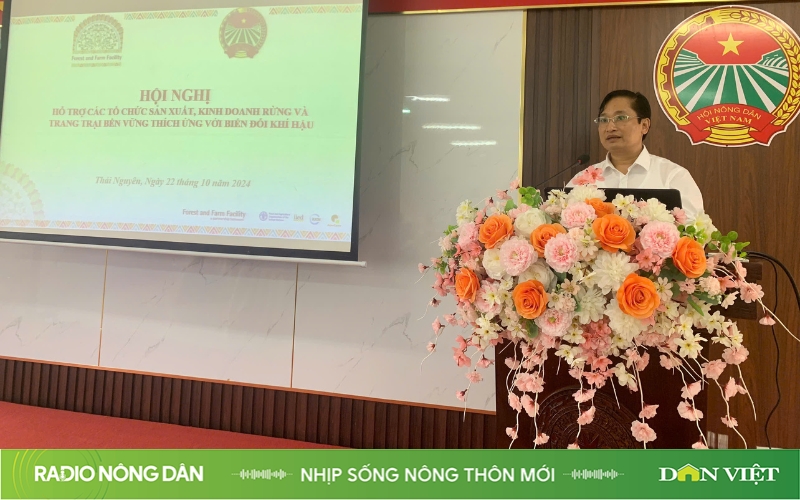 Nhịp sống nông thôn mới ngày 25/10/2024 - Ảnh 1.