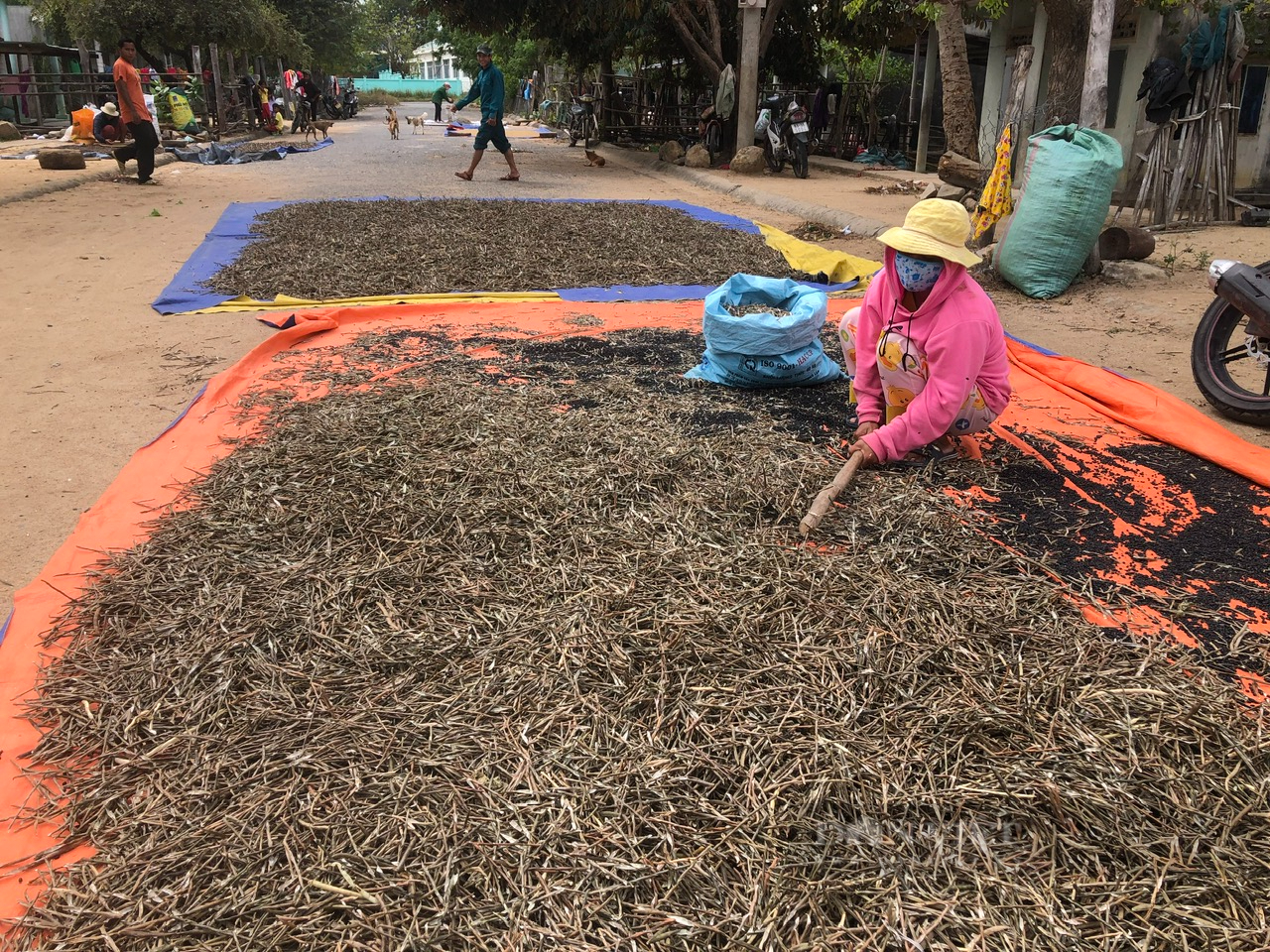 Bình Thuận: Xây dựng, sửa chữa nhà tình nghĩa, nhà tình thương cho hộ nghèo, gia đình chính sách - Ảnh 3.