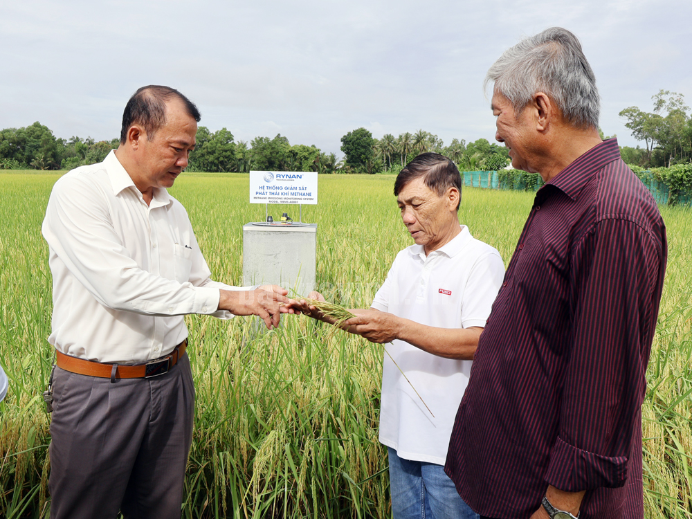 Những đổi thay sau Hội nghị Thủ tướng đối thoại với Nông dân 2023: Niềm hứng khởi từ Đề án 1 triệu ha lúa - Ảnh 2.