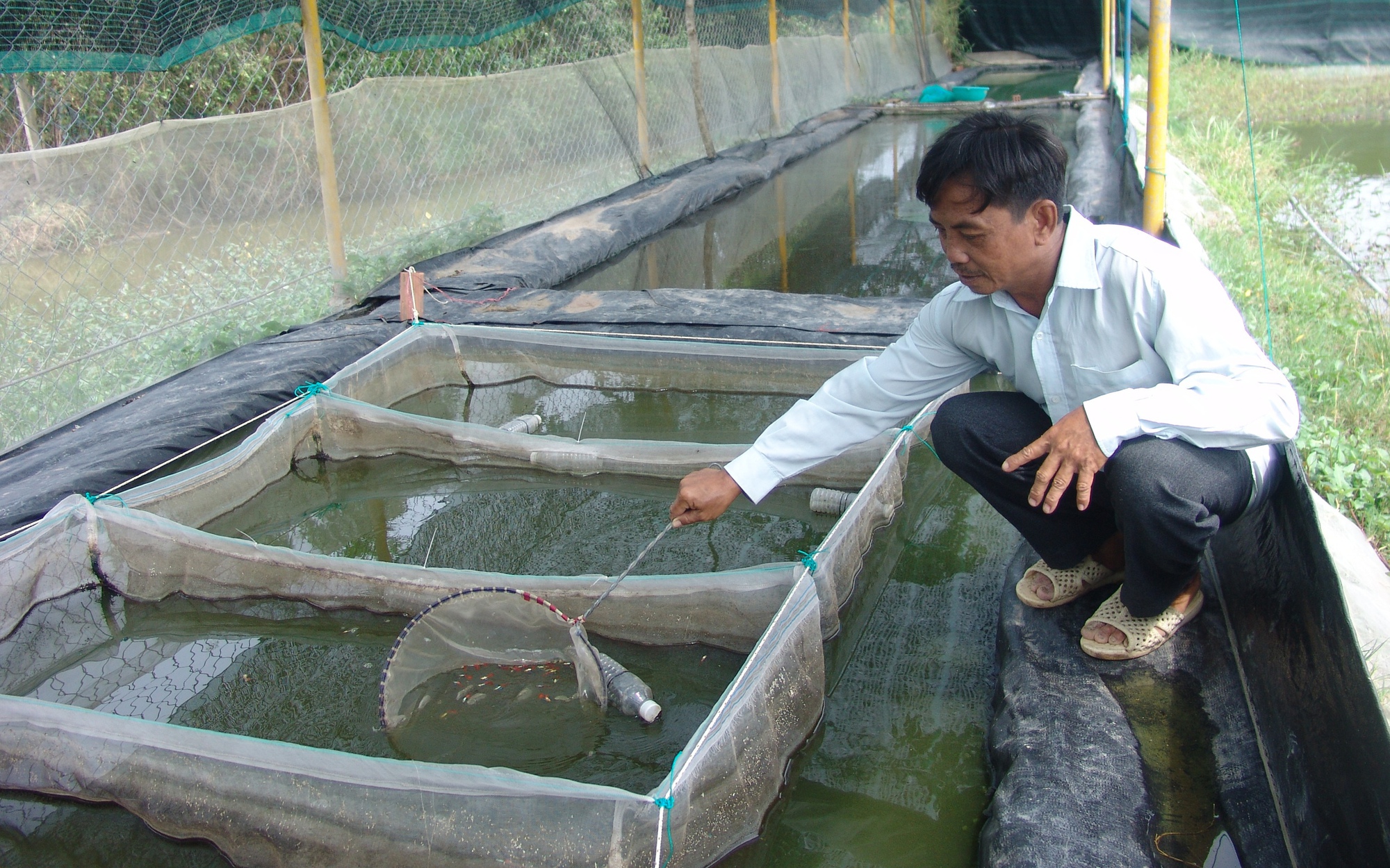 Xây dựng công trình trên đất nông nghiệp ở TP.HCM: HTX nguy cơ giải thể (bài 1) - Ảnh 2.