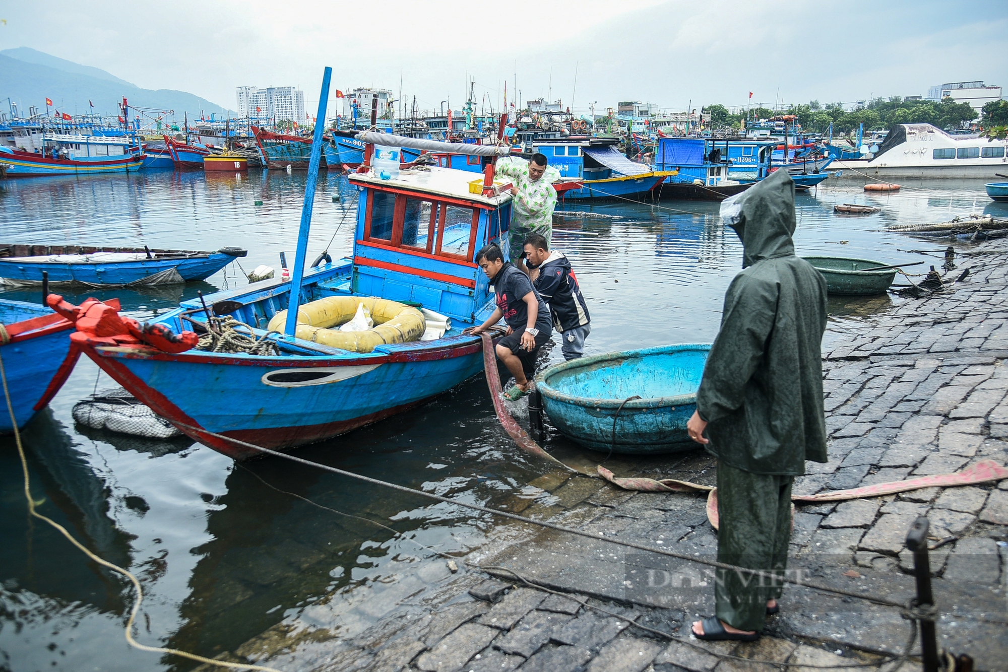 Bão Trà Mi áp sát, ngư dân Đà Nẵng hối hả vào bờ, neo đậu tàu thuyền tránh bão- Ảnh 8.