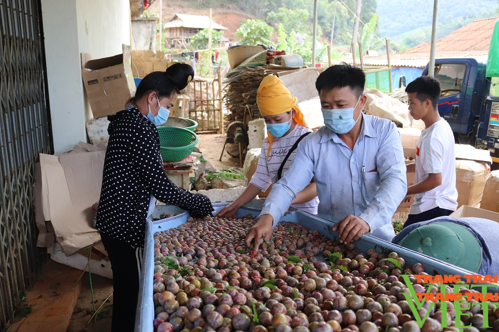 Tăng cường, đổi mới hình thức tuyên truyền pháp luật cho đồng bào dân tộc vùng cao - Ảnh 5.