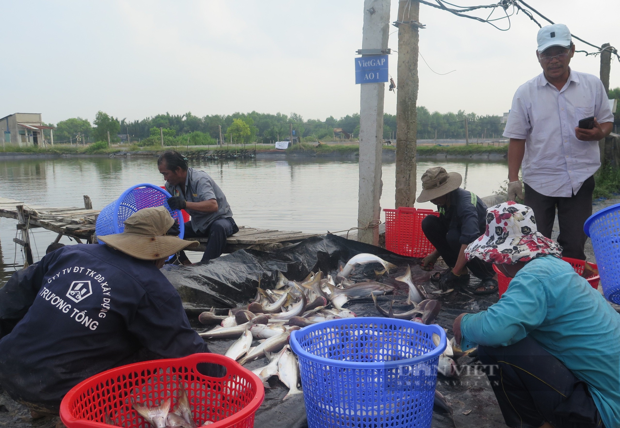 Dấu hiệu gian lận đấu thầu dự án đê bao ở huyện Cần Giờ, chuyển Công an TP.HCM điều tra - Ảnh 3.