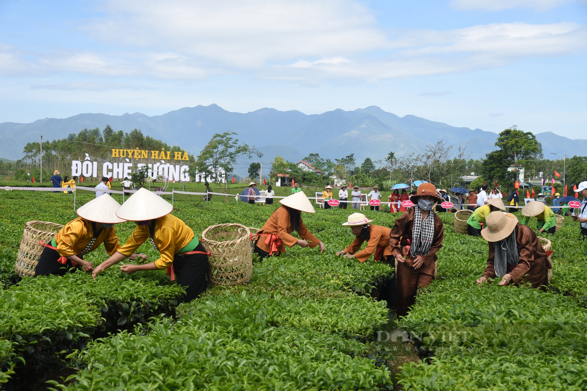 Nghi lễ "khởi sinh" trong Lễ hội trà Đường Hoa ở Quảng Ninh - Ảnh 6.